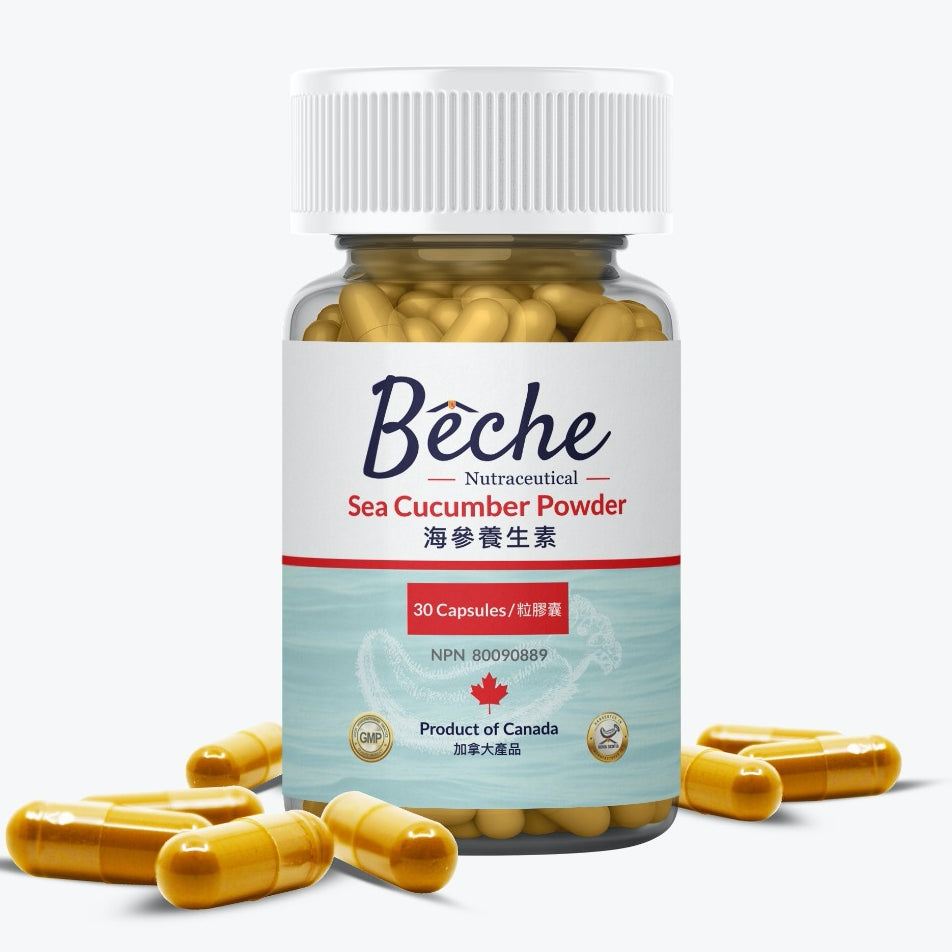Bêche - 100% Canadian Sea Cucumber Powder Supplement 30 Capsules (Expiry Date: 04/2026)