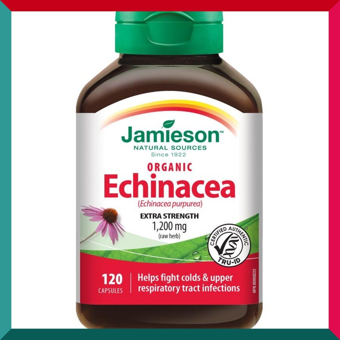 Jamieson - 特強健體有機紫錐菊 (1200 毫克) 120 粒 增強免疫力 【平行進口】(參考效期:04/2028*)